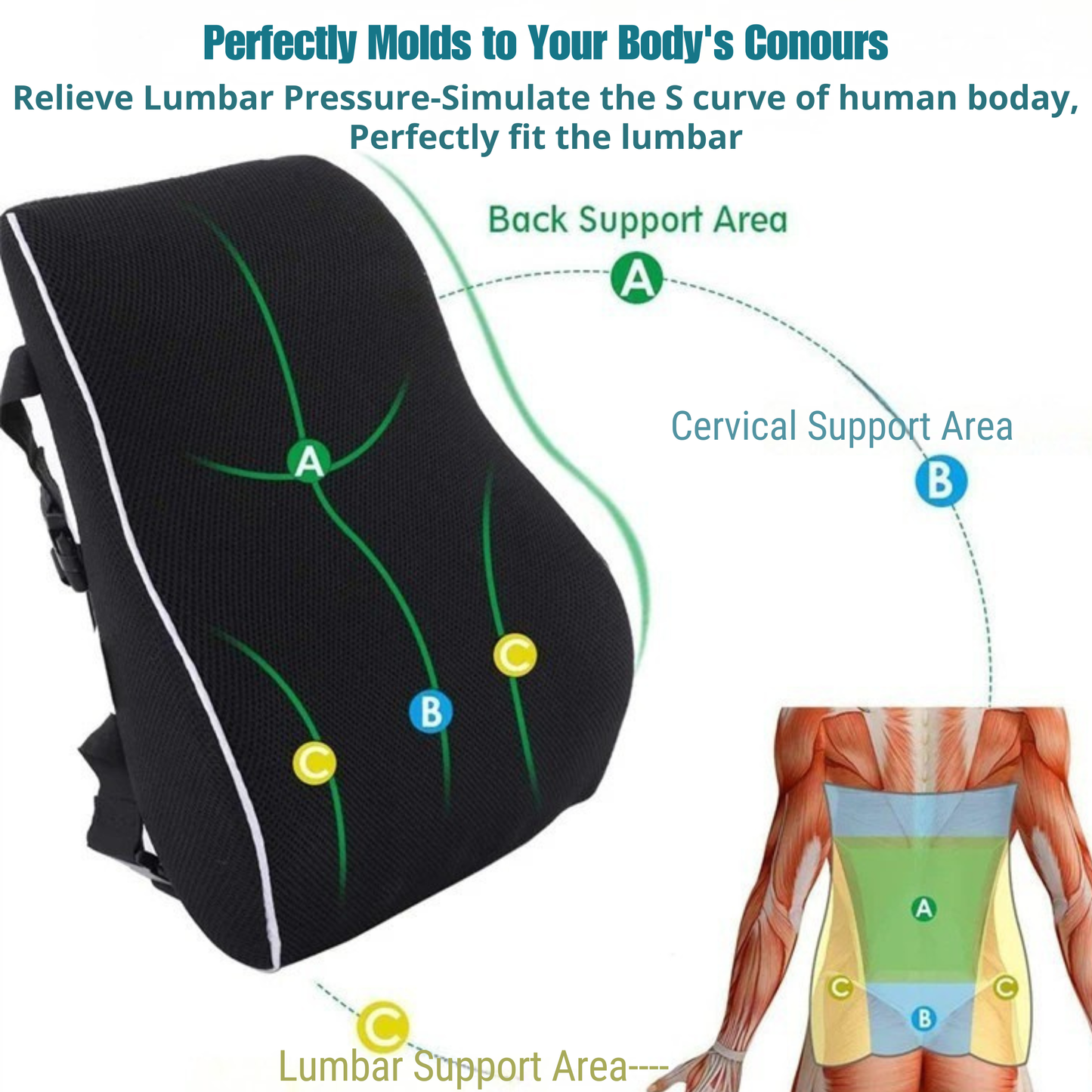 Premium Ergonomic Lumbar Support Cushion | The N7 Posture Series