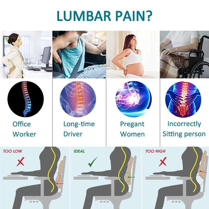 Premium Ergonomic Lumbar Support Cushion | The N7 Posture Series